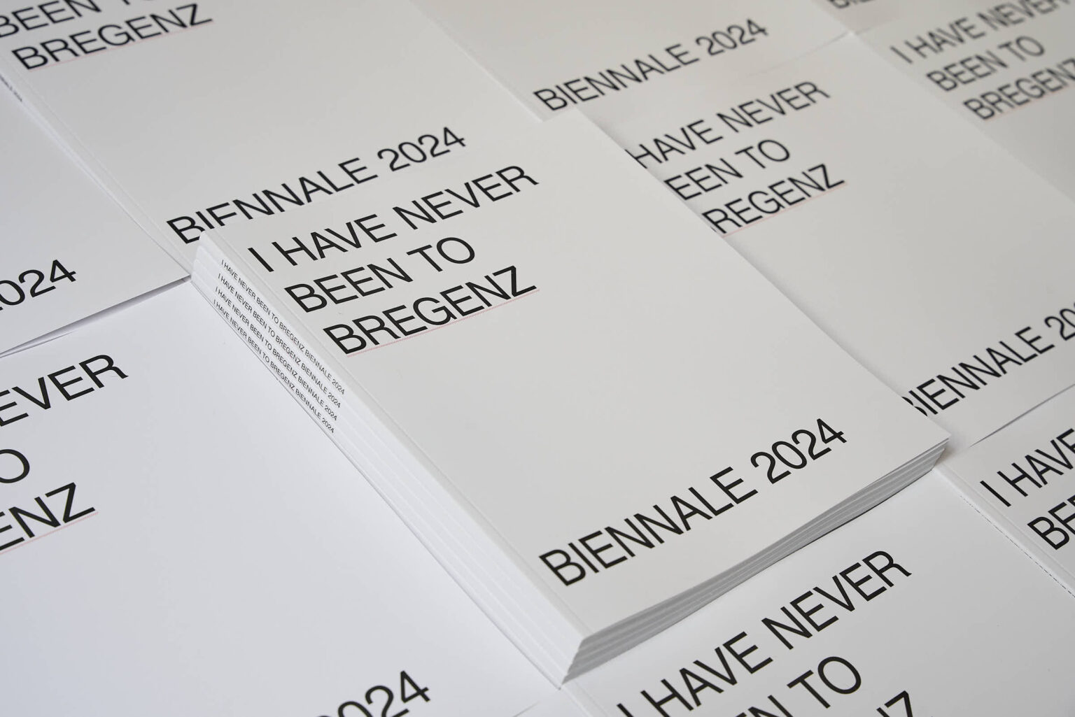 Bregenz Biennale 2024 Catalogue